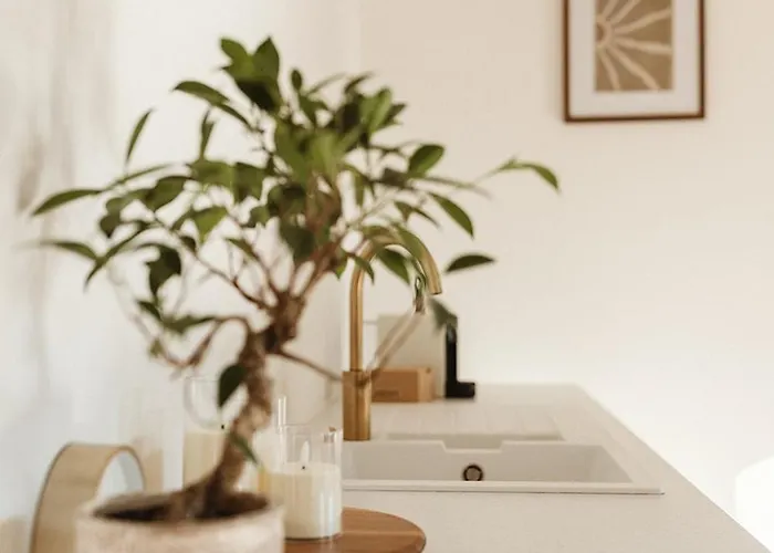 & Loft 公寓 根特